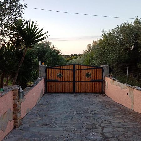 Villa Relax Tra Gli Ulivi Alghero Bagian luar foto